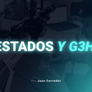 06 - Estados y G3H